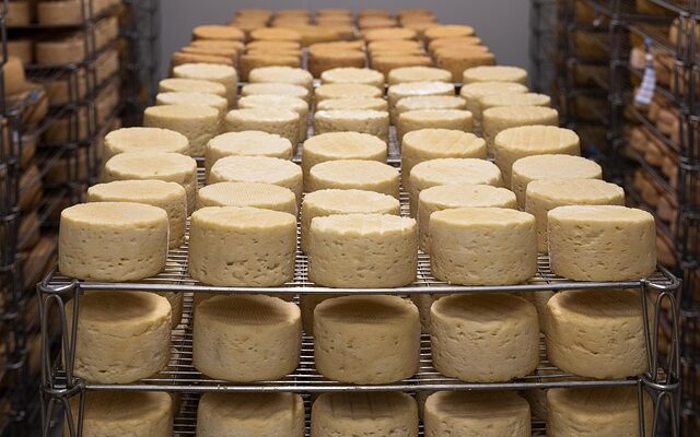 Ostens hemmeligheder: Historien bag boursin